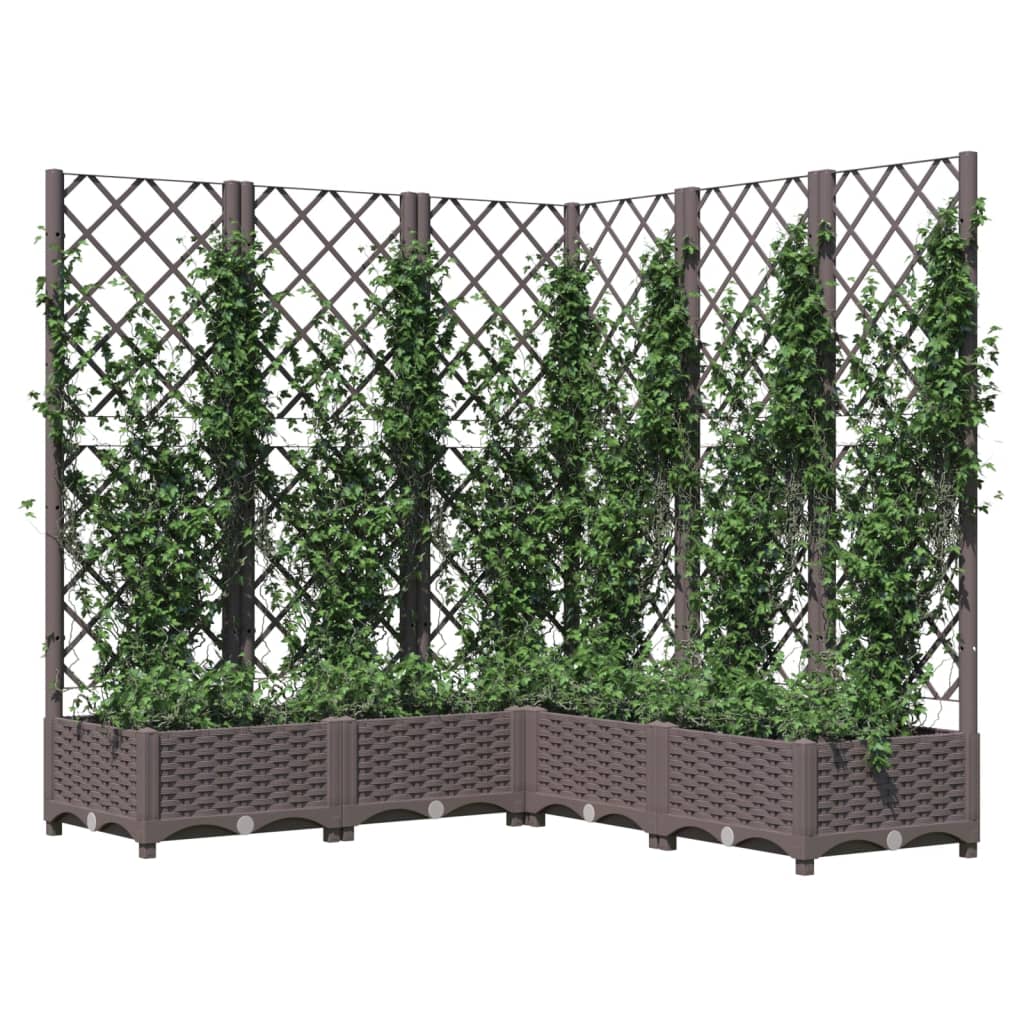 plantekasse med espalier 120x120x121,5 cm PP brun