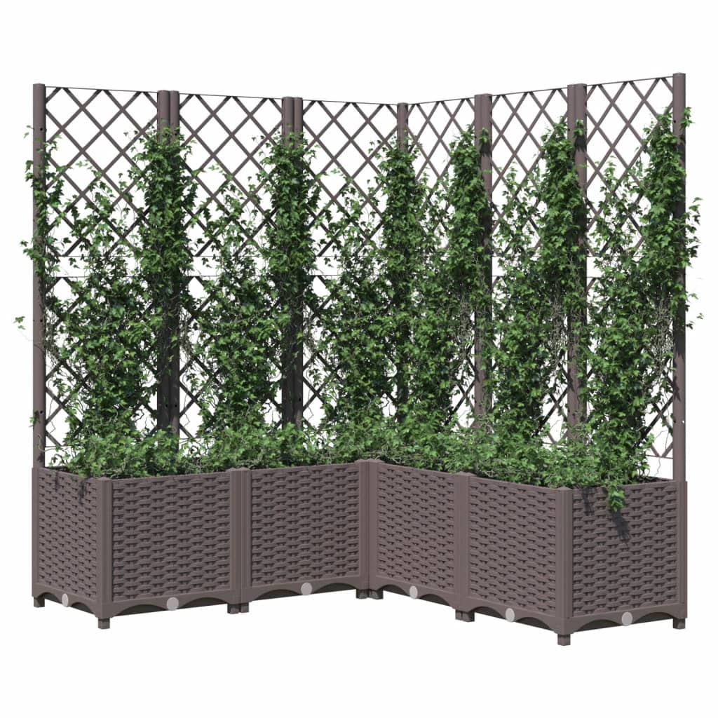 plantekasse med espalier 120x120x136 cm PP brun