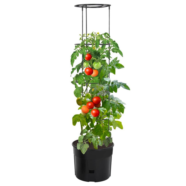 plantekrukke til tomater Ø39x150 cm polypropylen antracitgrå