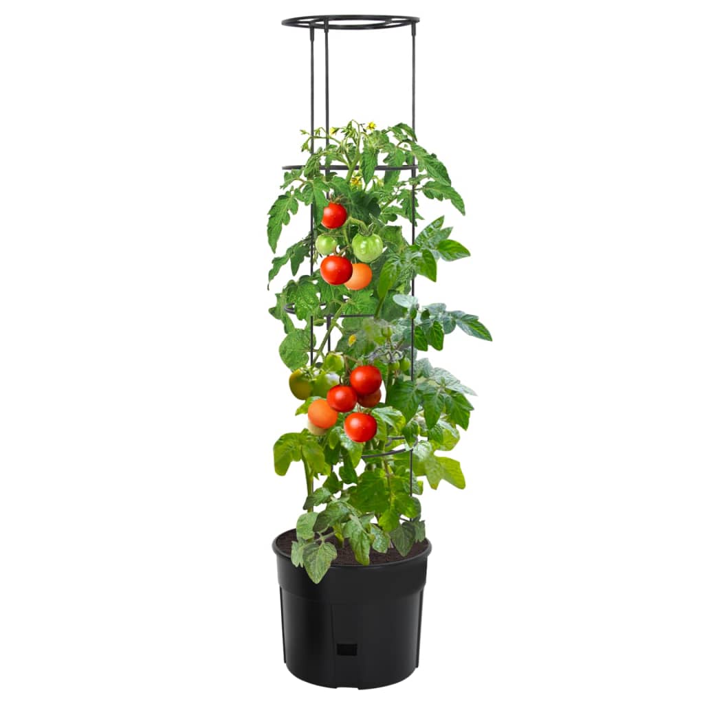 plantekrukke til tomater Ø39x150 cm polypropylen antracitgrå