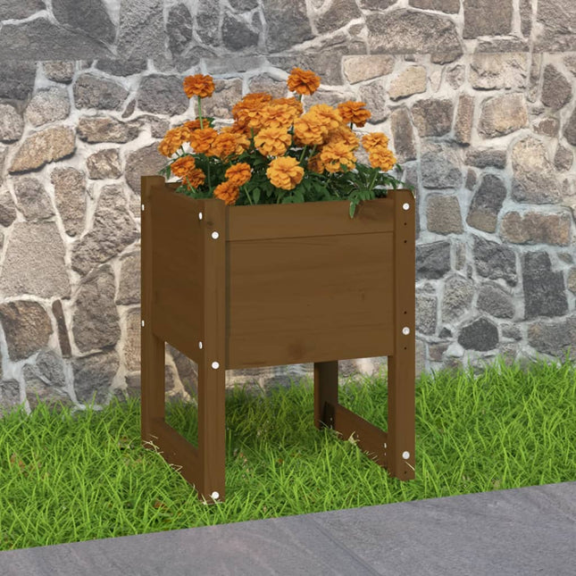 plantekasse 40x40x52,5 cm massivt fyrretræ gyldenbrun