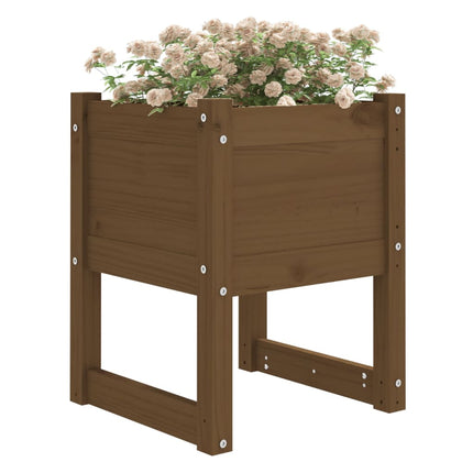 plantekasser 2 stk. 40x40x52,5 cm massivt fyrretræ gyldenbrun