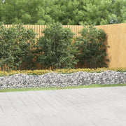 buet gabion-højbed 800x50x50 cm galvaniseret jern