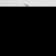 væghængt tv-skab 40x34,5x80 cm hvid højglans