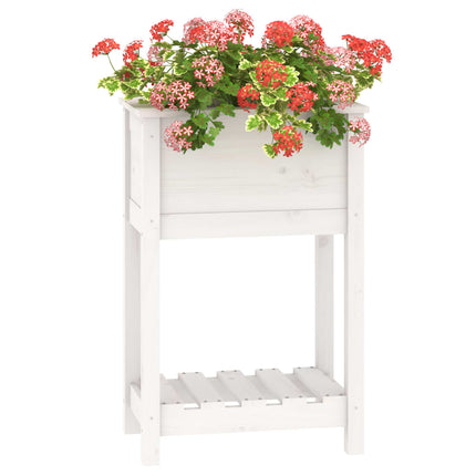 plantekasse med hylde 54x34,5x81 cm massivt fyrretræ hvid