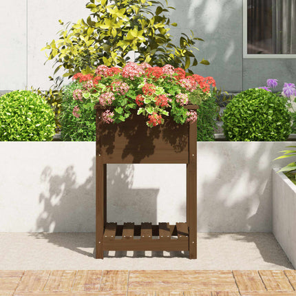 plantekasse med hylde 54x54x81 cm massivt fyrretræ gyldenbrun