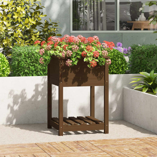 plantekasse med hylde 54x54x81 cm massivt fyrretræ gyldenbrun