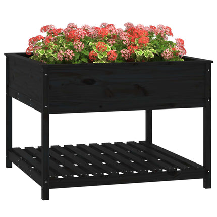 plantekasse med hylde 111,5x111,5x81 cm massivt fyrretræ sort