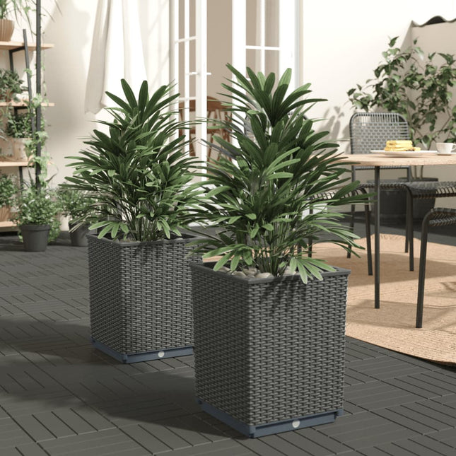 plantekasser 2 stk. 30x30x37 cm polypropylen sort