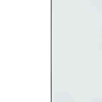 Pejs glasplade Transparent 100 x 60 cm Glas