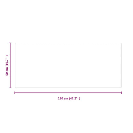 Pejs glasplade Transparent 120 x 50 cm Glas