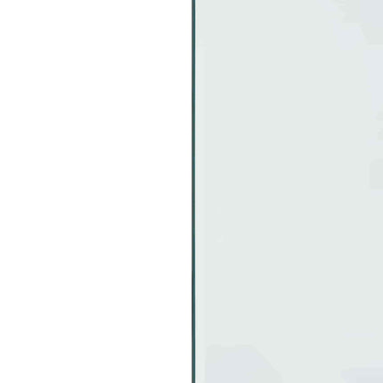 Pejs glasplade Transparent 100 x 50 cm Glas