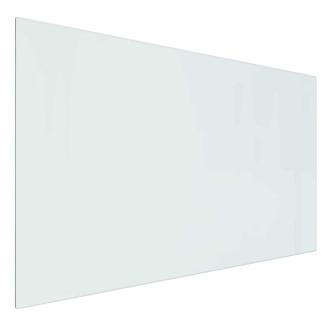 Pejs glasplade Transparent 100 x 60 cm Glas