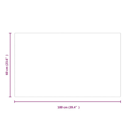 Pejs glasplade Transparent 100 x 60 cm Glas