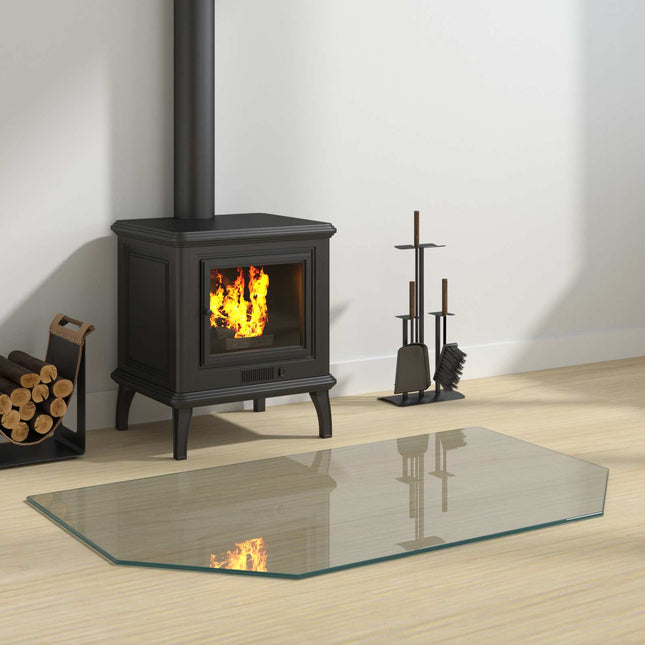 Pejs glasplade Transparent 100 x 60 cm Glas