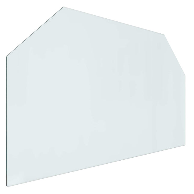 Pejs glasplade Transparent 100 x 60 cm Glas