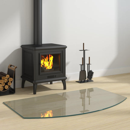 Pejs glasplade Transparent 100 x 60 cm Glas