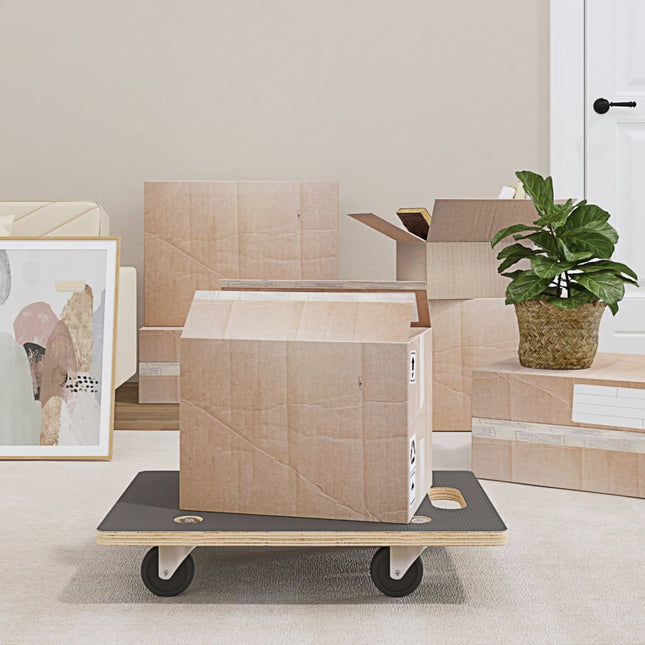 møbelhunde 2 stk. 60x40x11,5 cm 250 kg rektangulær