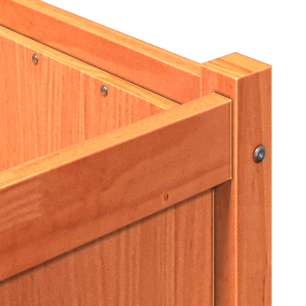 plantekasse 150x50x50 cm massivt fyrretræ gyldenbrun