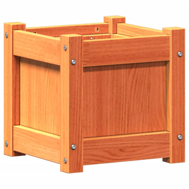plantekasse 31x31x31 cm massivt fyrretræ gyldenbrun