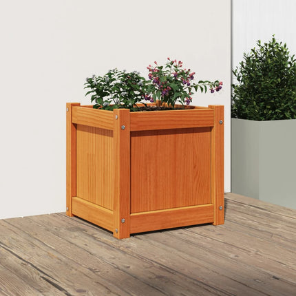 plantekasse 40x40x40 cm massivt fyrretræ gyldenbrun