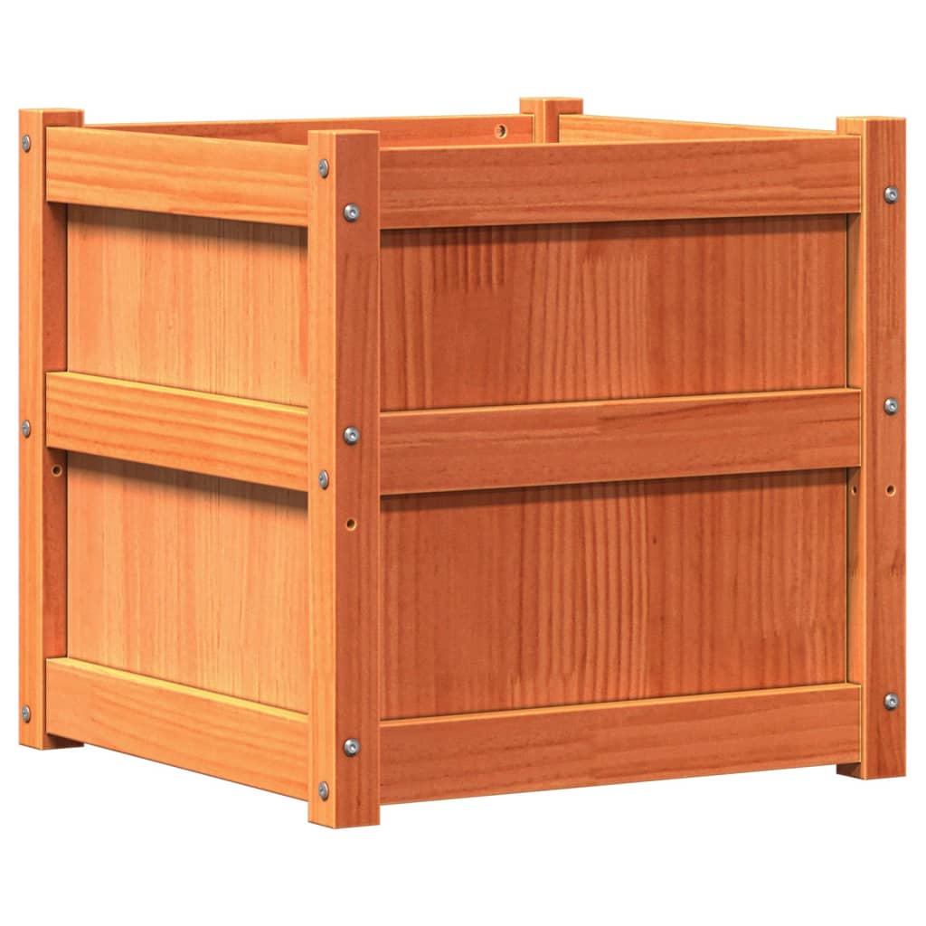 plantekasse 50x50x50 cm massivt fyrretræ gyldenbrun