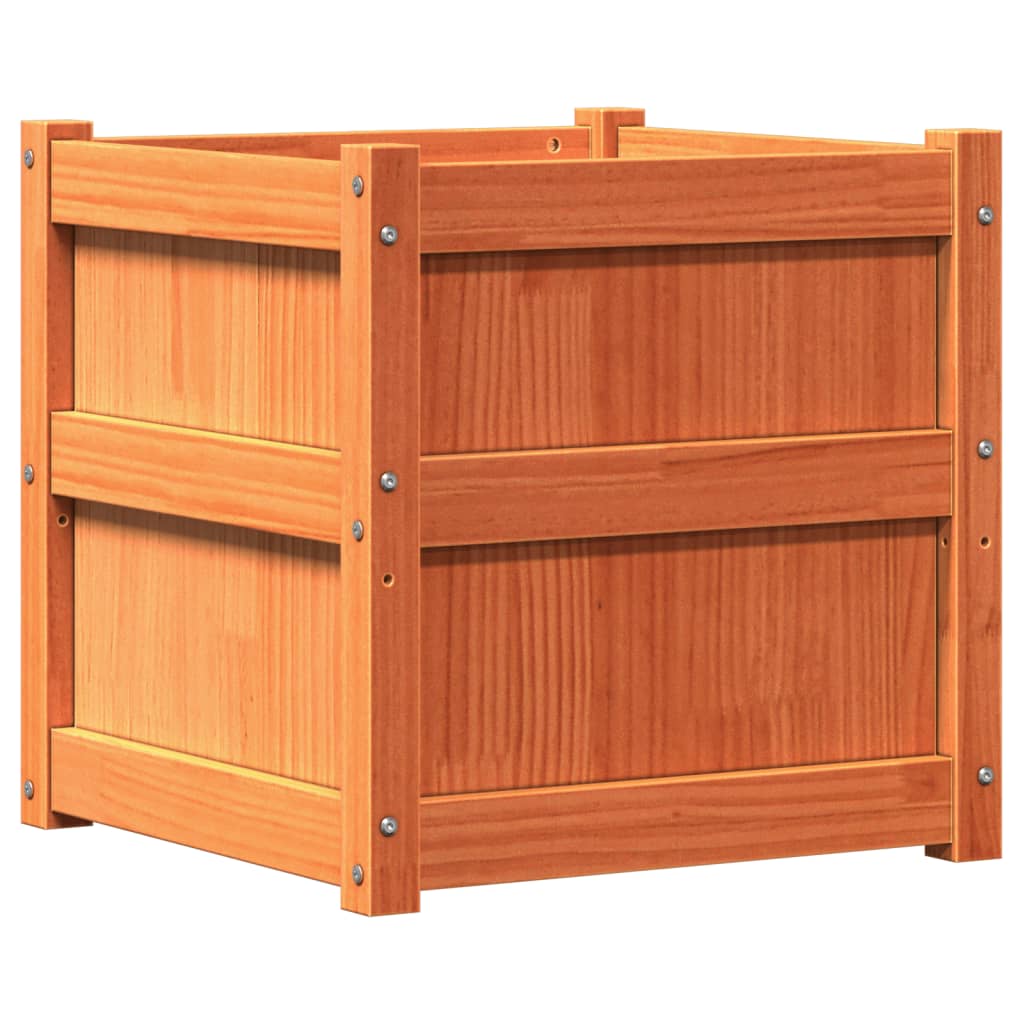 plantekasse 50x50x50 cm massivt fyrretræ gyldenbrun