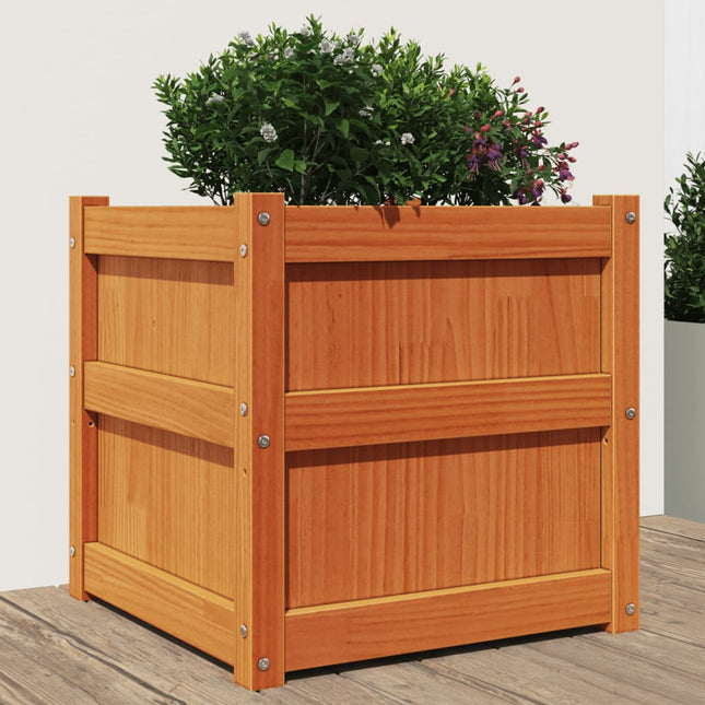 plantekasse 50x50x50 cm massivt fyrretræ gyldenbrun