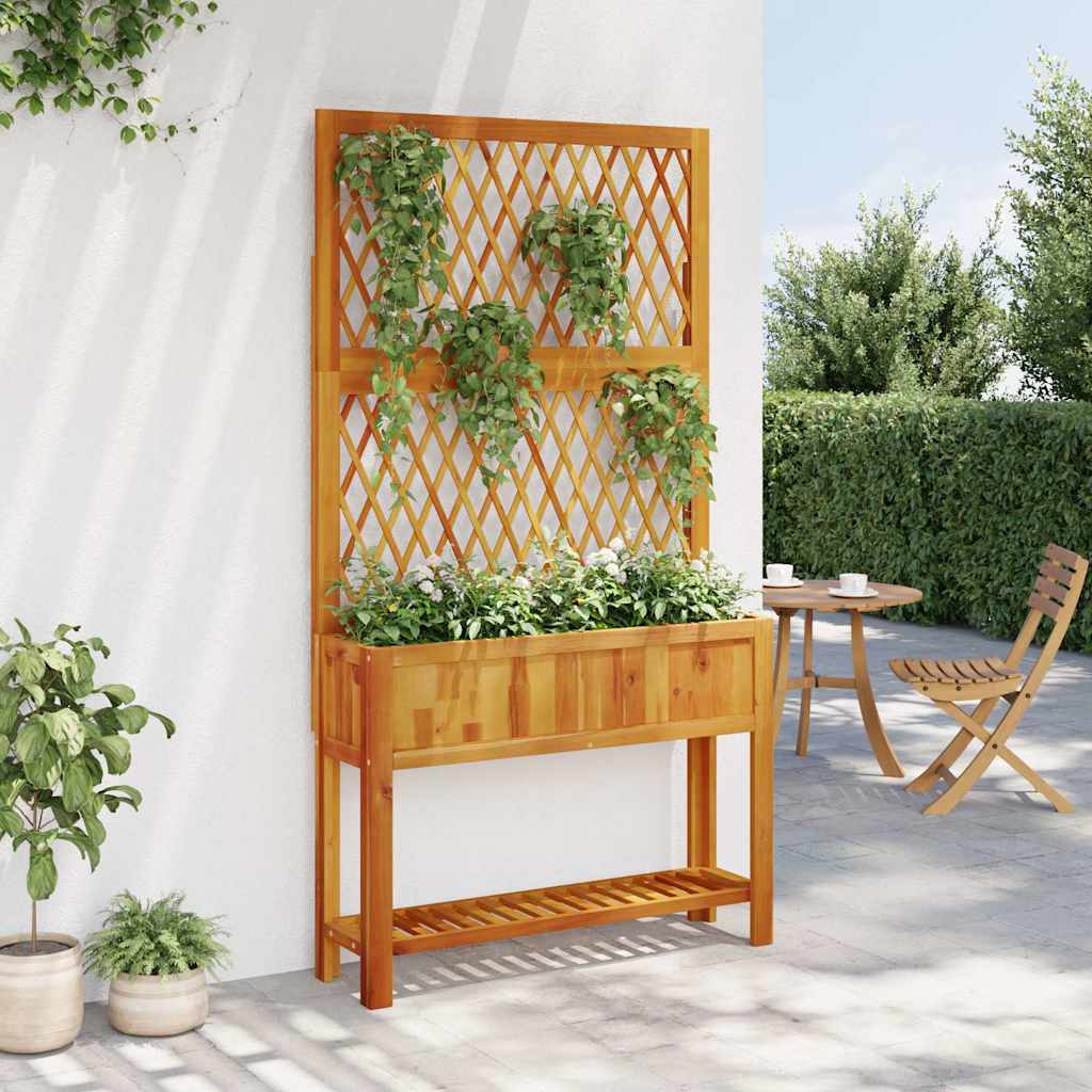 plantekasse med espalier og hylde 100x32x185 cm massivt akacie