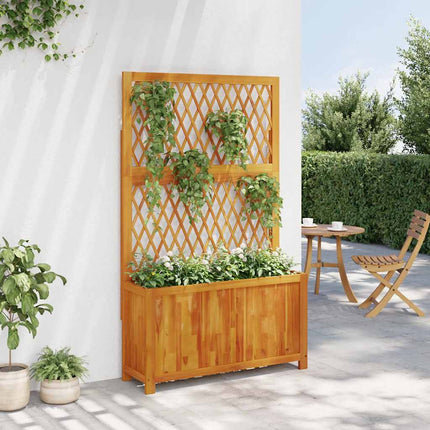 plantekasse med espalier 100x32x165 cm massivt akacietræ