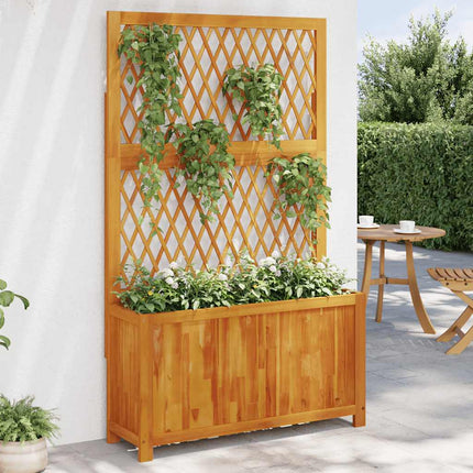 plantekasse med espalier 100x32x165 cm massivt akacietræ