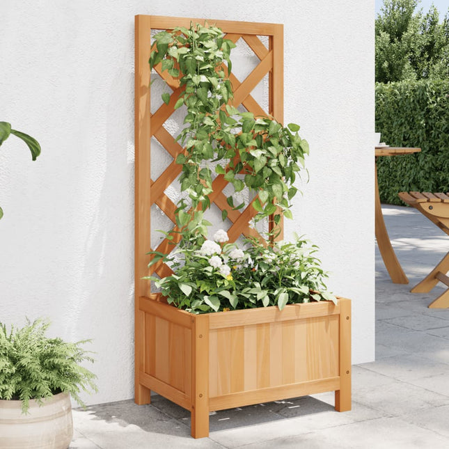 plantekasse med espalier massivt grantræ brun