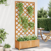 plantekasse med espalier massivt grantræ brun