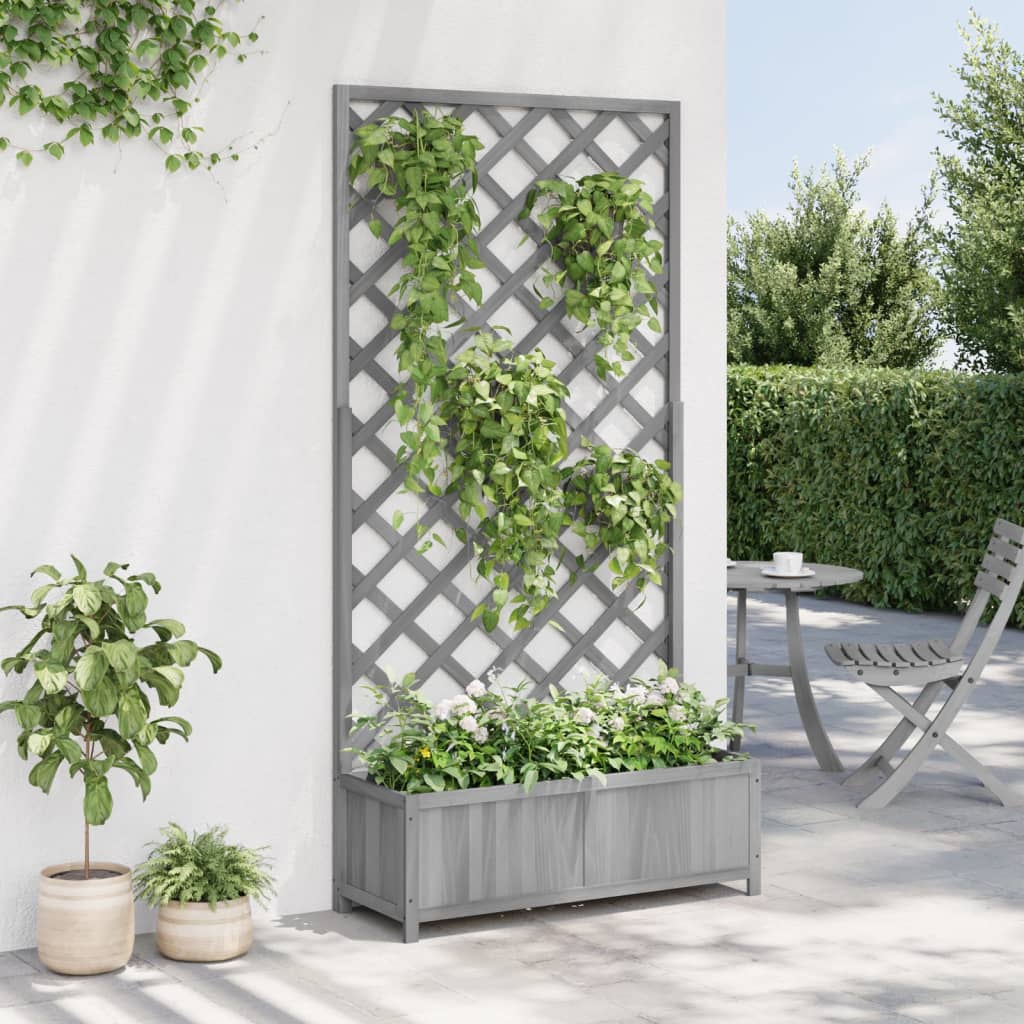 plantekasse med espalier massivt grantræ grå