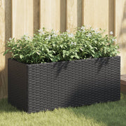 plantekasser 2 stk. med 2 potter 72x30x32 cm polyrattan sort