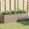 Plantekasser Polyrattan