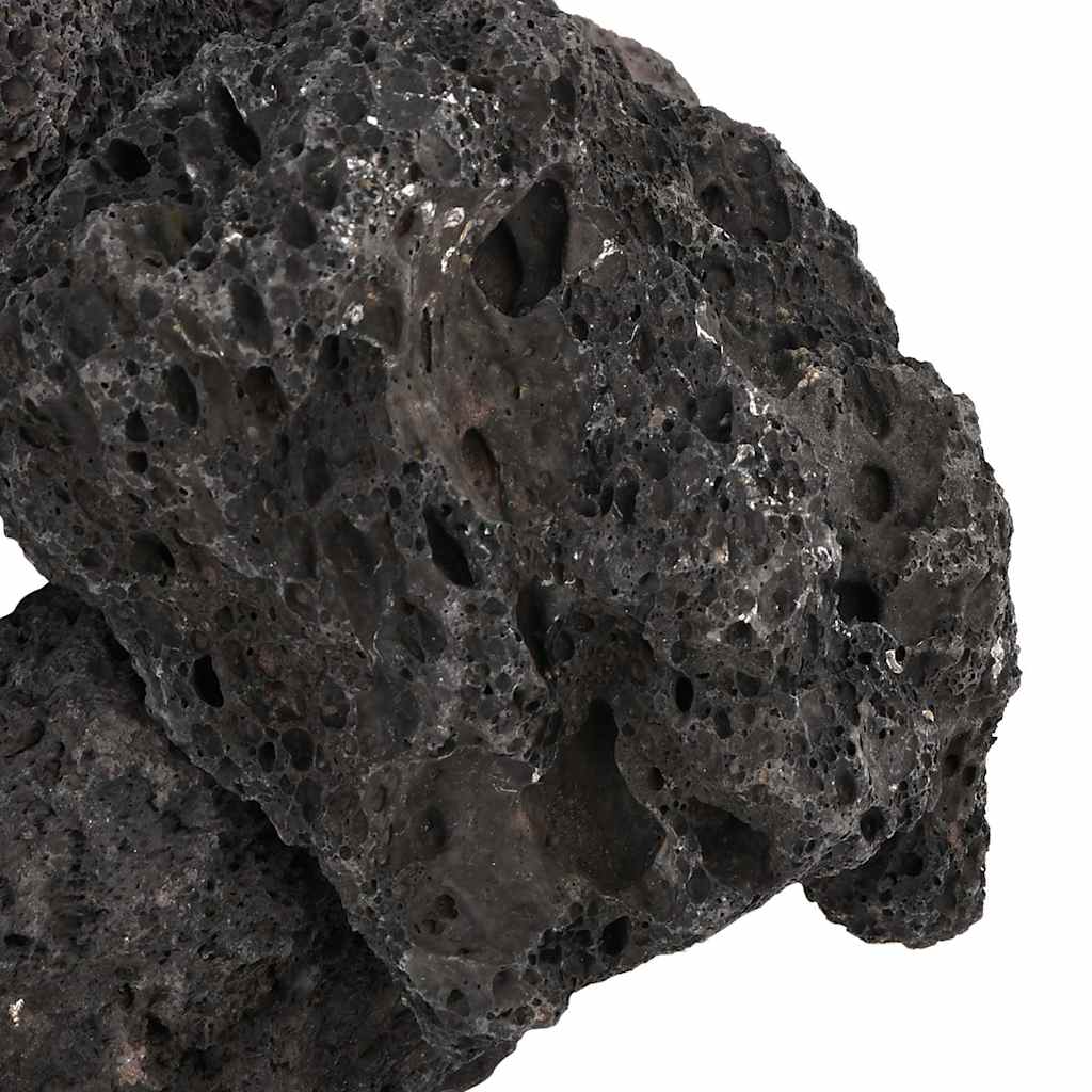 vulkanske sten 10 kg 10-30 cm sort
