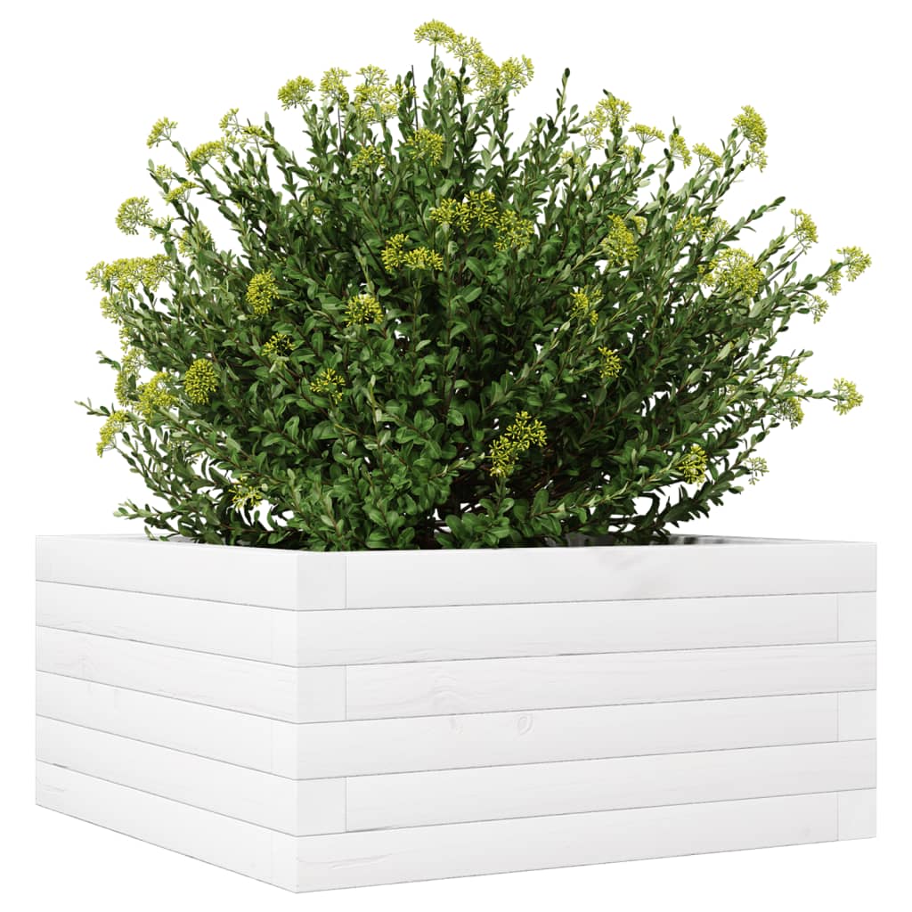 plantekasse 50x50x23 cm massivt fyrretræ hvid