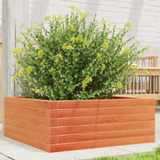 plantekasse 60x60x23 cm massivt fyrretræ gyldenbrun