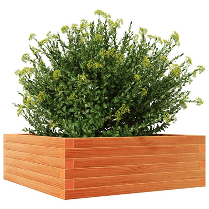plantekasse 70x70x23 cm massivt fyrretræ gyldenbrun
