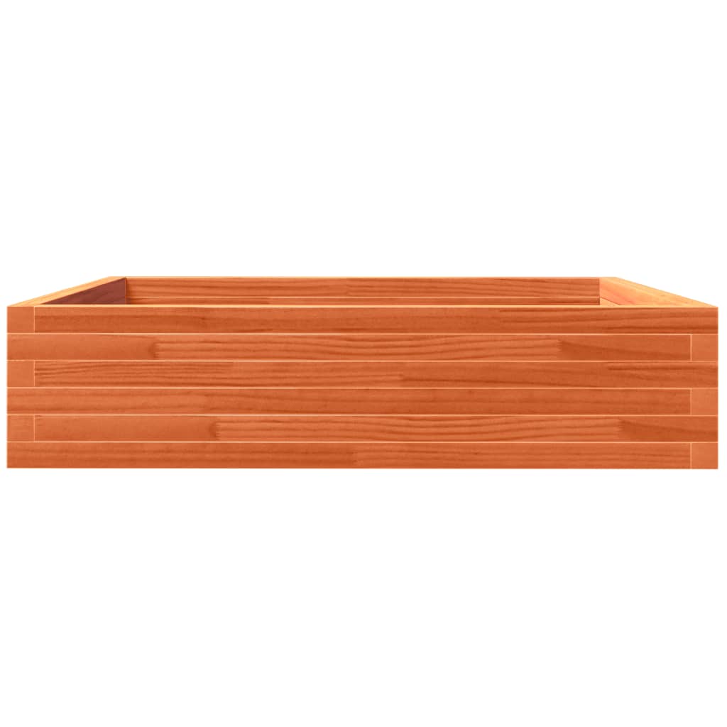 plantekasse 100x100x23 cm massivt fyrretræ gyldenbrun