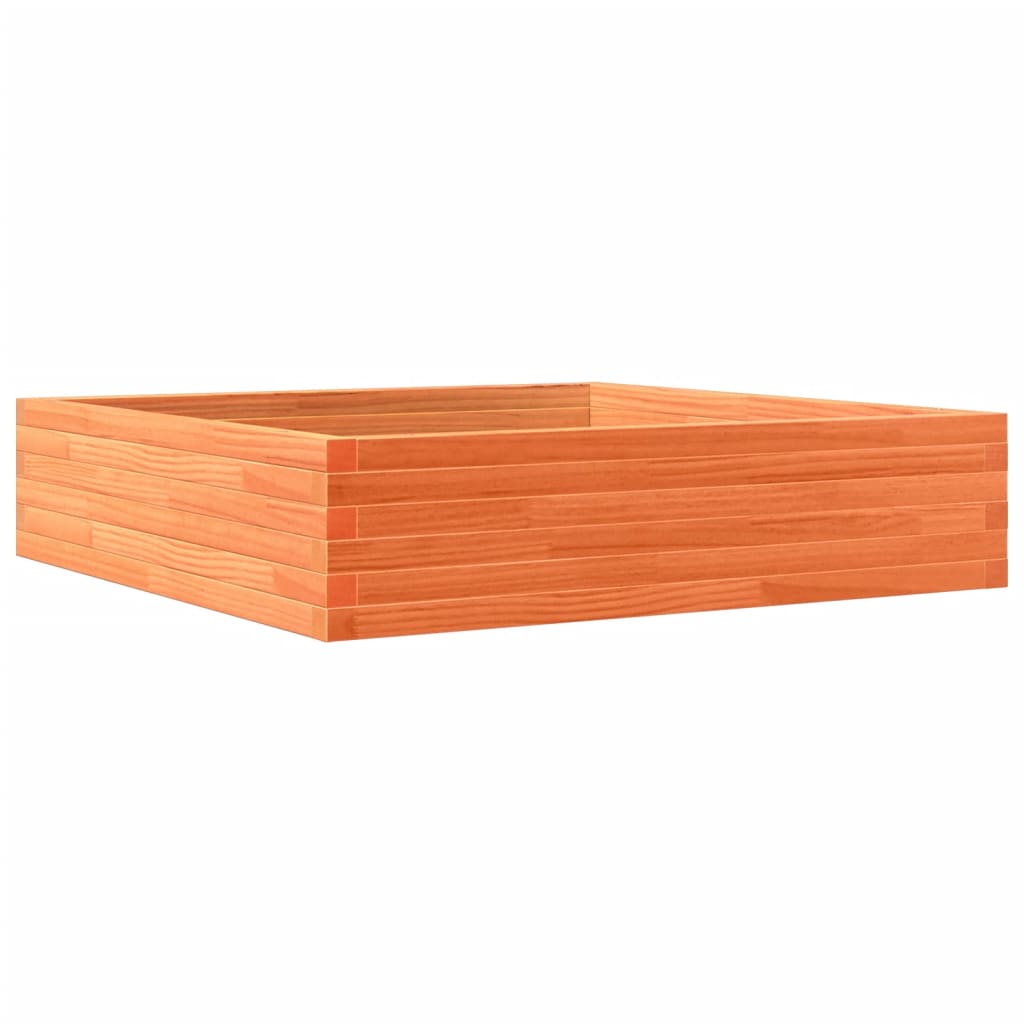 plantekasse 100x100x23 cm massivt fyrretræ gyldenbrun