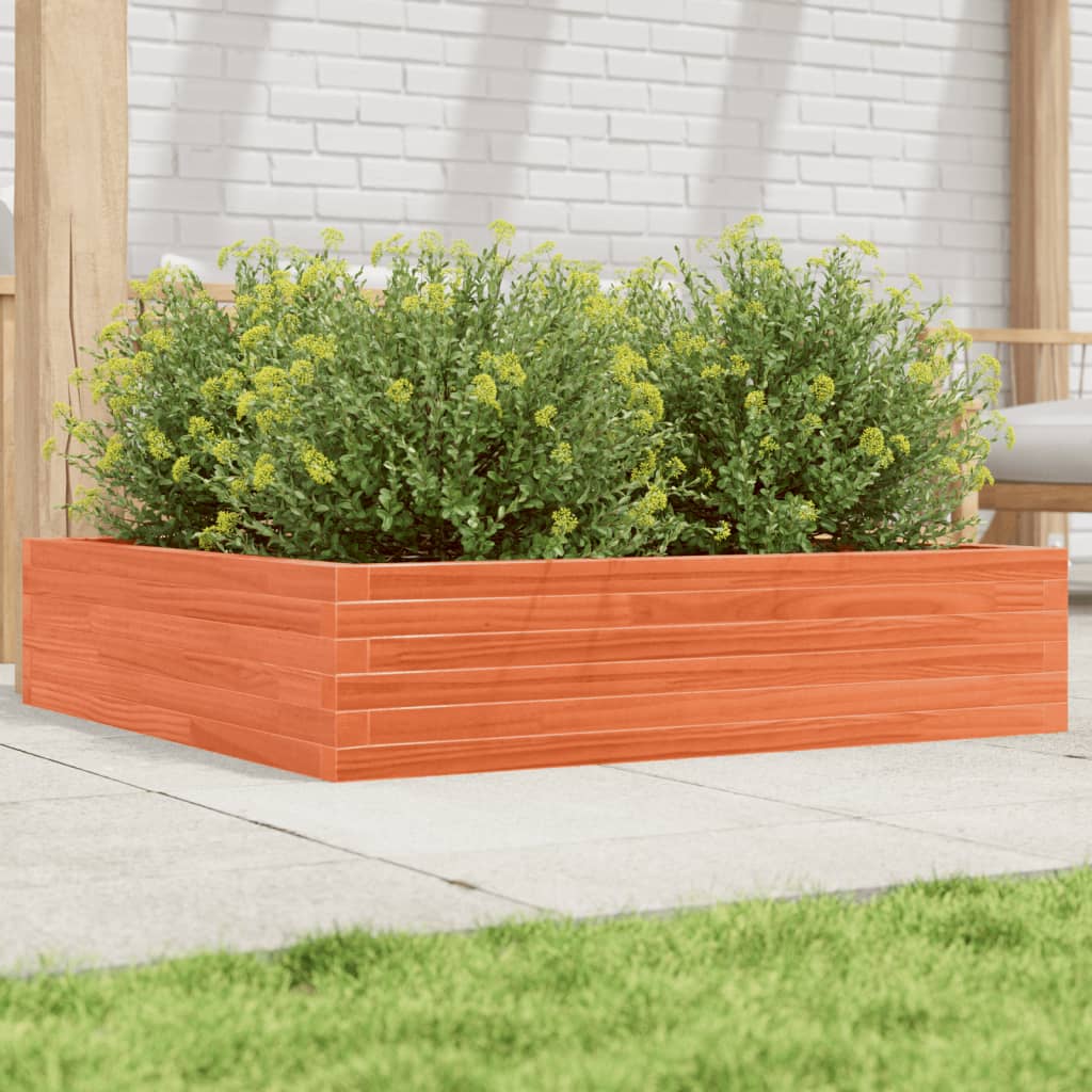 plantekasse 100x100x23 cm massivt fyrretræ gyldenbrun