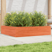 plantekasse 100x100x23 cm massivt fyrretræ gyldenbrun