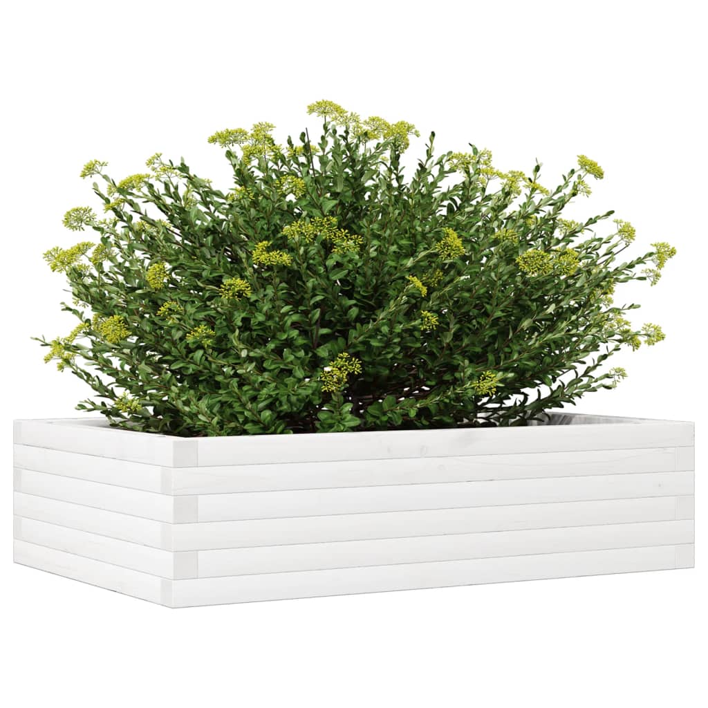 plantekasse 90x60x23 cm massivt fyrretræ hvid
