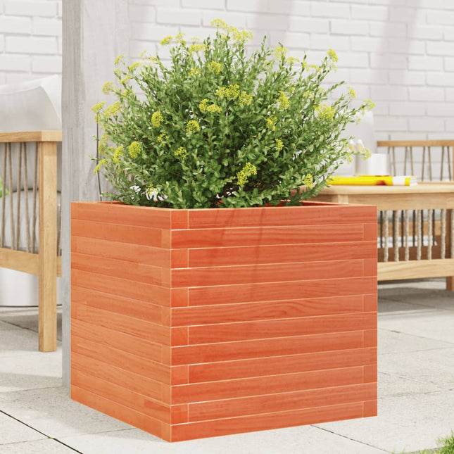 plantekasse 50x50x45,5 cm massivt fyrretræ gyldenbrun