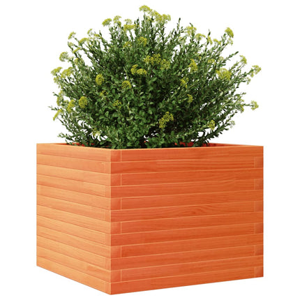 plantekasse 60x60x45,5 cm massivt fyrretræ gyldenbrun
