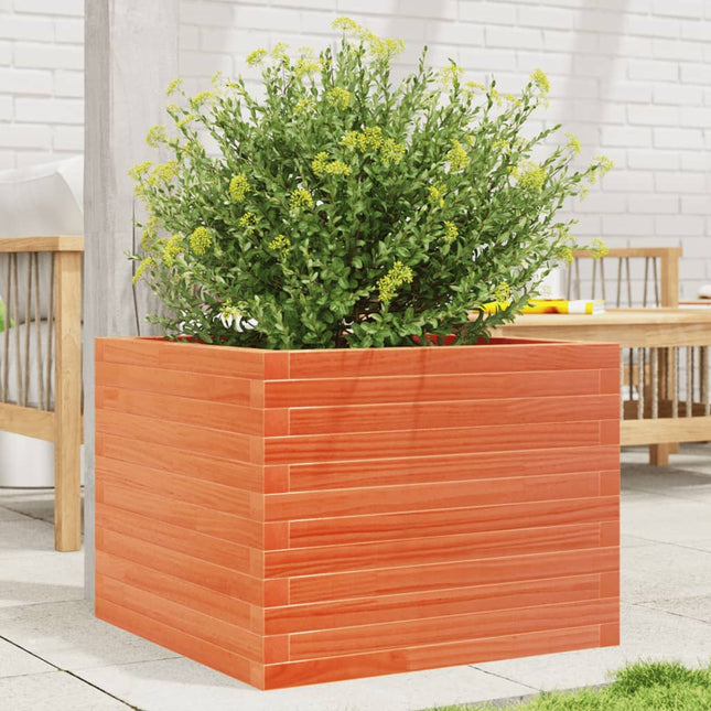 plantekasse 60x60x45,5 cm massivt fyrretræ gyldenbrun