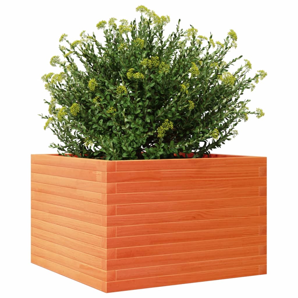 plantekasse 70x70x45,5 cm massivt fyrretræ gyldenbrun