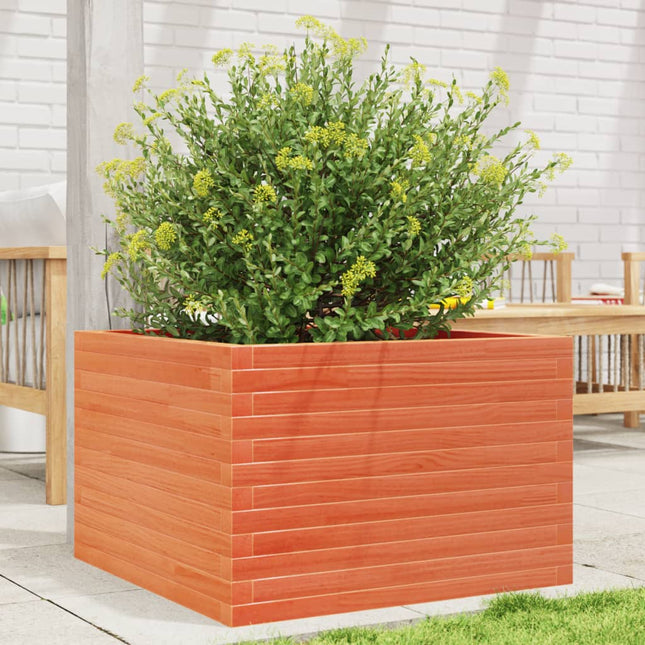 plantekasse 70x70x45,5 cm massivt fyrretræ gyldenbrun